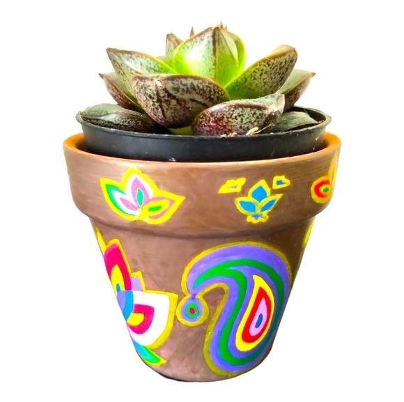 🎨Made to order🖌 Hand Painted Little Terracotta Pot/ Planter/ Vase - Picture 5 of 14